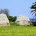 ...in realt non mancano del tutto neanche a sud del capoluogo: ad esempio li possiamo scorgere nel cosiddetto parco dei trulli...